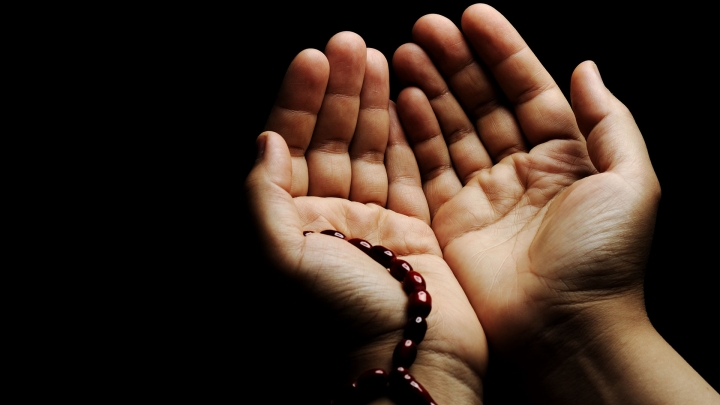 İman, getirisi olan fiilleri ortaya koyup, o fiillerin getirisini yaşamak içindir! İman, getirisi olan fiilleri ortaya koyup, o fiillerin getirisini yaşamak içindir!