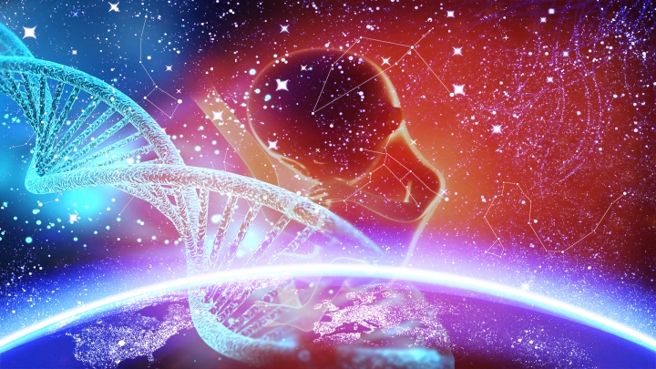 When the embryo reaches the 120th day after conception the brain is just beginning to form and is ready to process the first cosmic rays. The Effects of The Zodiacal Signs (Burj) On The Brain