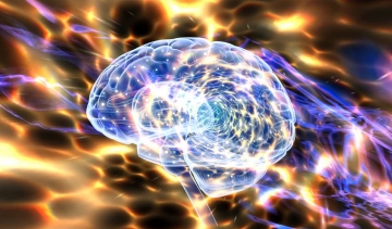 Das GEHIRN ist eine arbeitende Masse, welche von Schwingungen (Wellen) resultiert und als ein Hologramm arbeitet. Das GEHIRN ist eine arbeitende Masse, welche von Schwingungen (Wellen) resultiert und als ein Hologramm arbeitet.