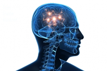 There are infinite activities of the Knowledge-Will-Power relation in the brain, but only a few of them are disclosed to our consciousness. There are infinite activities of the Knowledge-Will-Power relation in the brain, but only a few of them are disclosed to our consciousness.