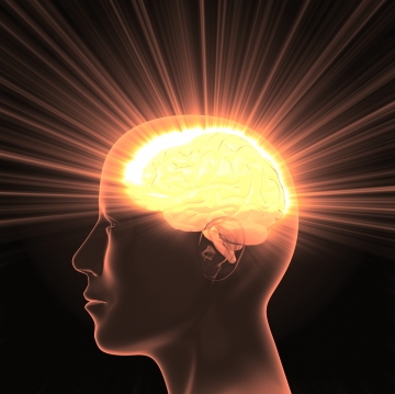 Scientific discoveries are the greatest provision that the One denoted by ‘Allah’ manifests through the one denoted by ‘man.’ This provision that has been bestowed upon the conscious ones is the nourishment of the brains forming the ‘Golden Age.’ The awaited “Golden Age” is now!