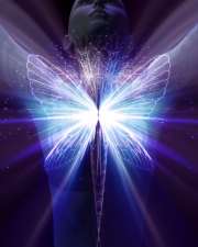 Come, my friend, leave your cocoon and realize the universal truths! Come, my friend, leave your cocoon and realize the universal truths!