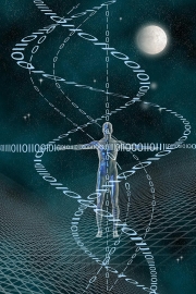 How can the system be read? How can the system be read?